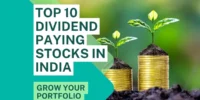 Top 10 Dividend Paying Stocks in India