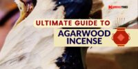 Agarwood Incense: A Complete Guide
